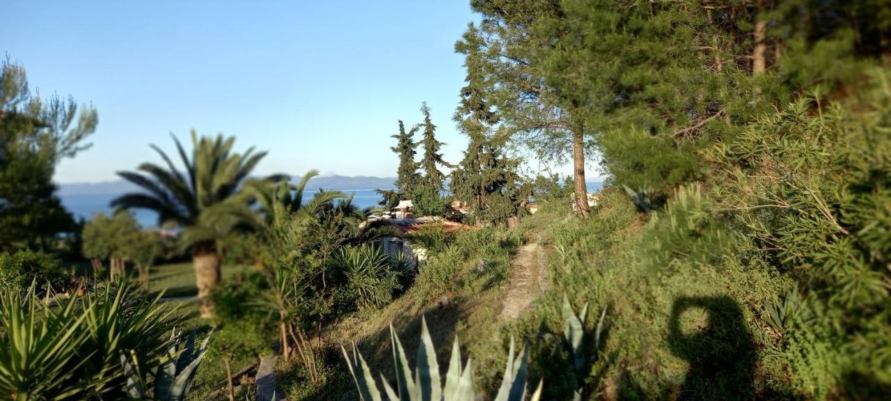 Seaside View Villa Hanioti Exterior foto