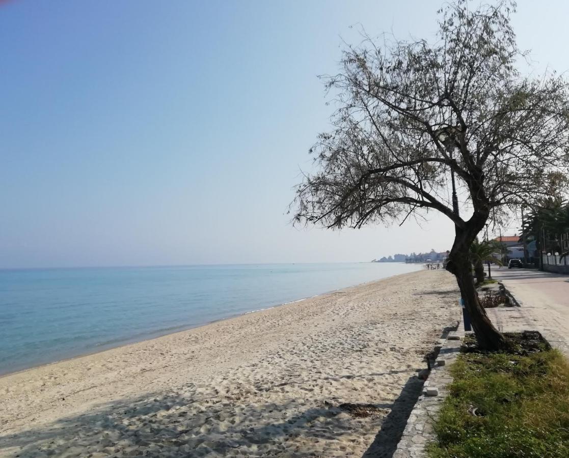 Seaside View Villa Hanioti Exterior foto